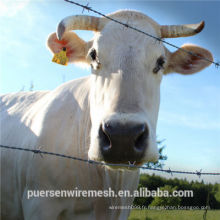 Maillage kraal de bétail, fabricant de clôtures en béton